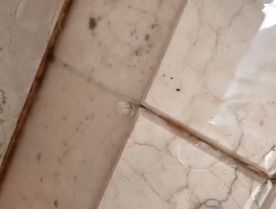 衛生間納米防水案例